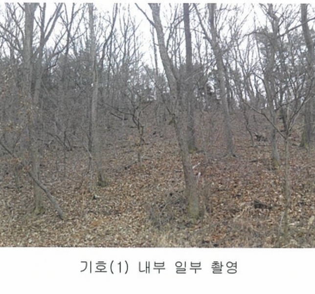 2025타경501792 세종특별자치시 연서면 신대리 298-2 임야 경매 이미지