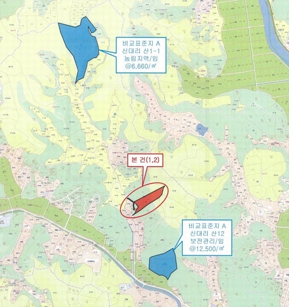 2025타경501792 세종특별자치시 연서면 신대리 298-2 임야 경매 이미지