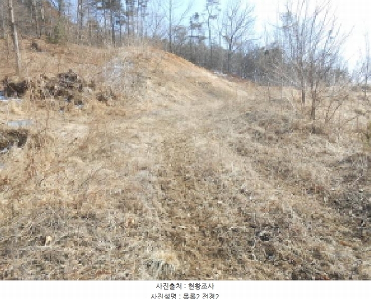 2025타경501792 세종특별자치시 연서면 신대리 298-2 임야 경매 이미지