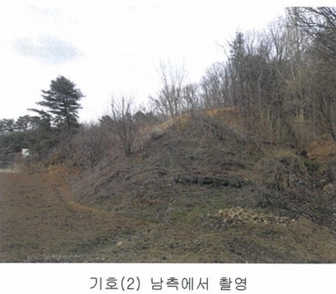2025타경501792 세종특별자치시 연서면 신대리 298-2 임야 경매 이미지