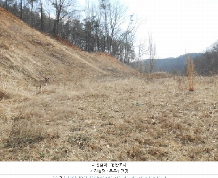 2025타경501792 세종특별자치시 연서면 신대리 298-2 임야 경매 이미지