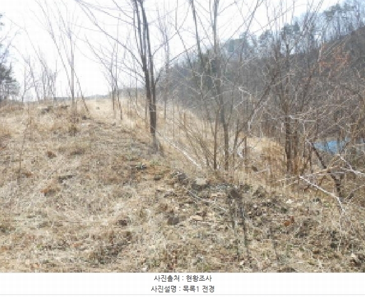 2025타경501792 세종특별자치시 연서면 신대리 298-2 임야 경매 이미지