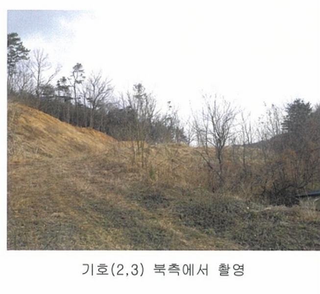 2025타경501792 세종특별자치시 연서면 신대리 298-2 임야 경매 이미지