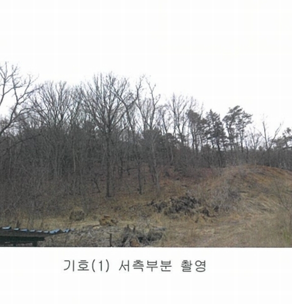 2025타경501792 세종특별자치시 연서면 신대리 298-2 임야 경매 이미지