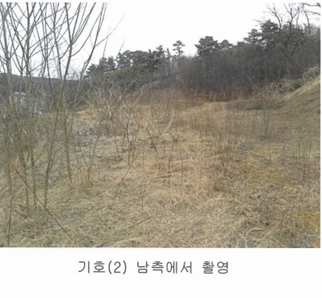 2025타경501792 세종특별자치시 연서면 신대리 298-2 임야 경매 이미지