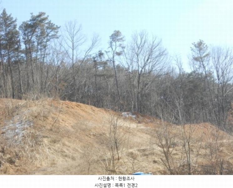 2025타경501792 세종특별자치시 연서면 신대리 298-2 임야 경매 이미지