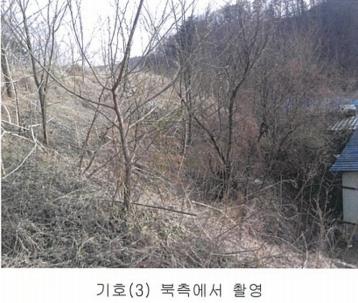 2025타경501792 세종특별자치시 연서면 신대리 298-2 임야 경매 이미지