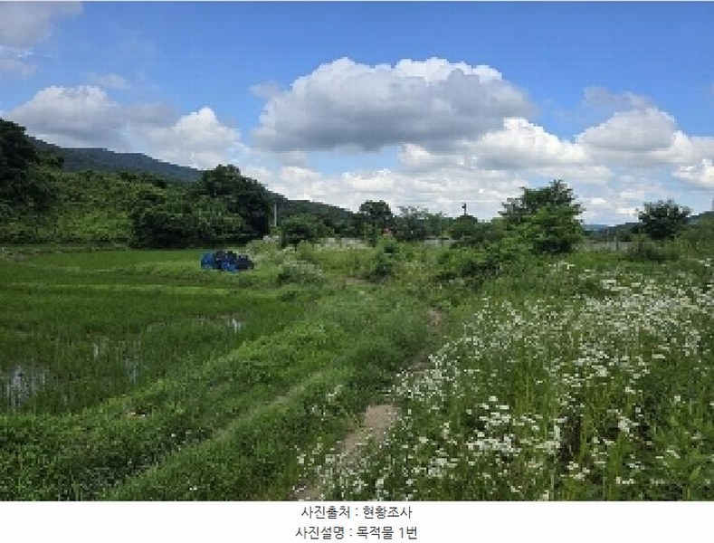 2025타경1340 충청북도 음성군 음성읍 한벌리 650 농지 경매 이미지
