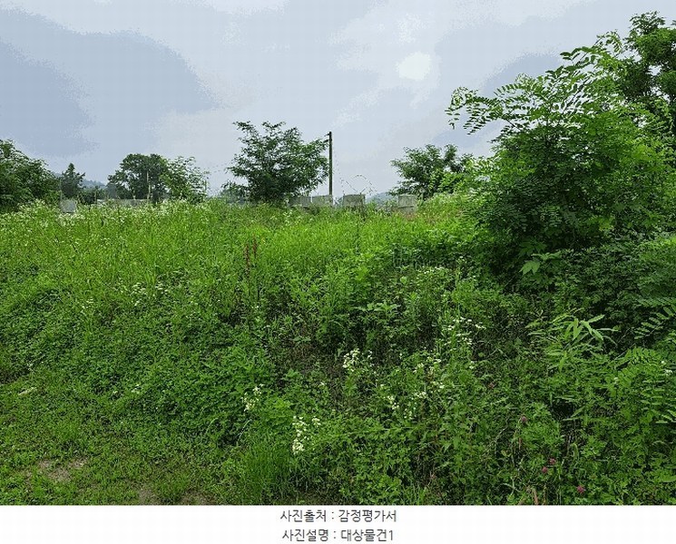 2025타경1340 충청북도 음성군 음성읍 한벌리 650 농지 경매 이미지