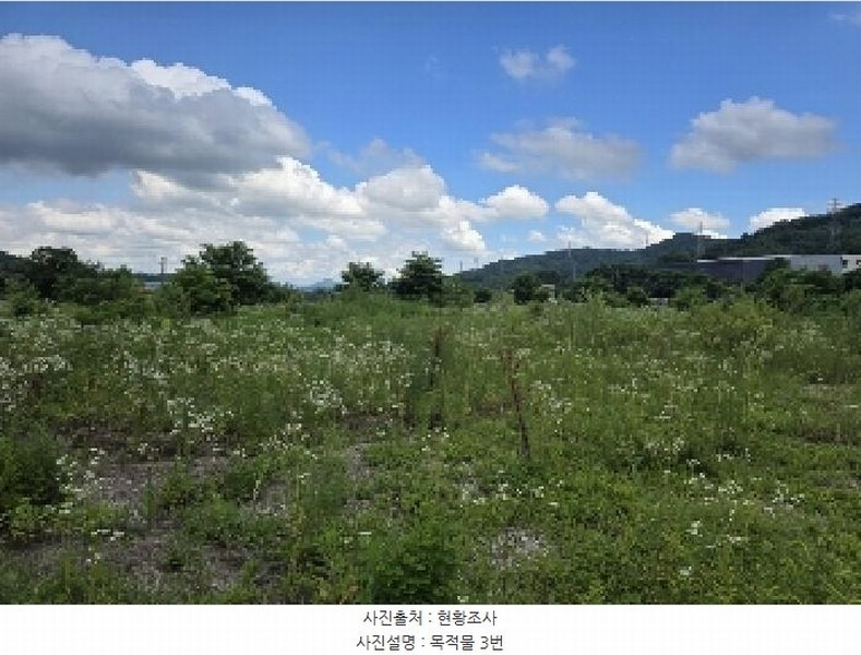 2025타경1340 충청북도 음성군 음성읍 한벌리 650 농지 경매 이미지