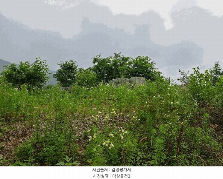 2025타경1340 충청북도 음성군 음성읍 한벌리 650 농지 경매 이미지