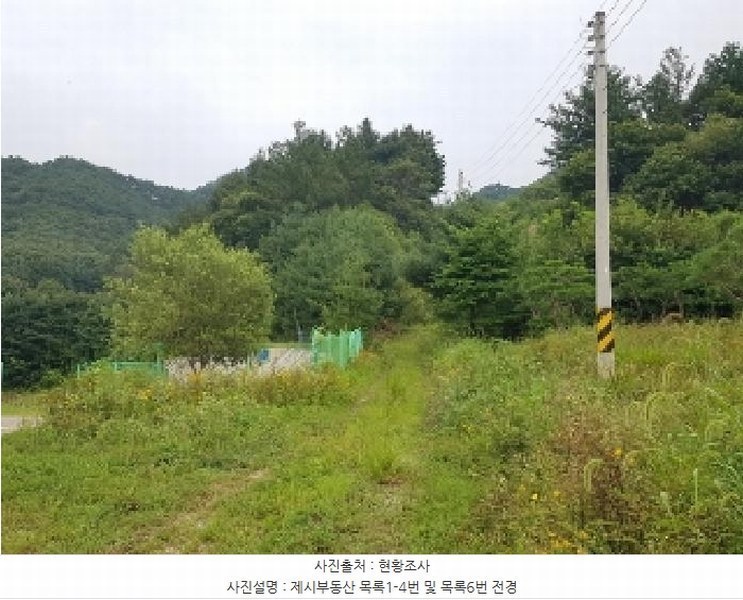 2025타경1661 강원특별자치도 홍천군 남면 양덕원리 산15-1 근린시설 경매 이미지