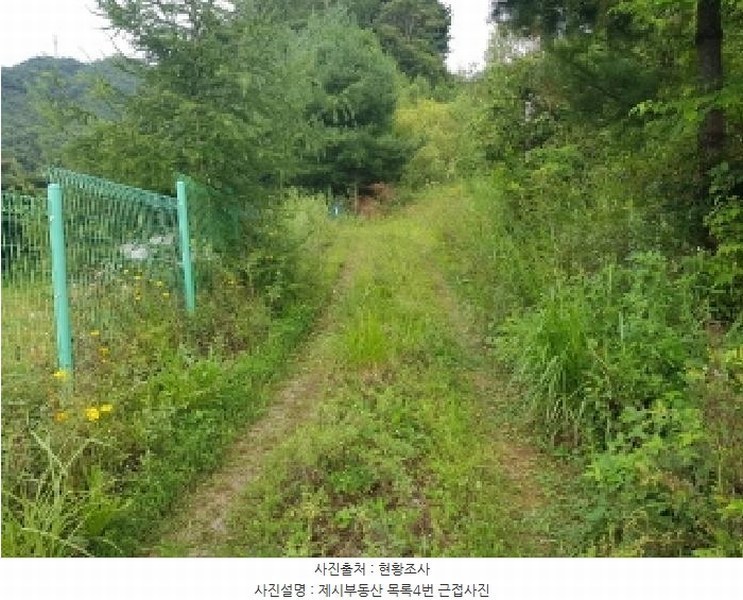 2025타경1661 강원특별자치도 홍천군 남면 양덕원리 산15-1 근린시설 경매 이미지
