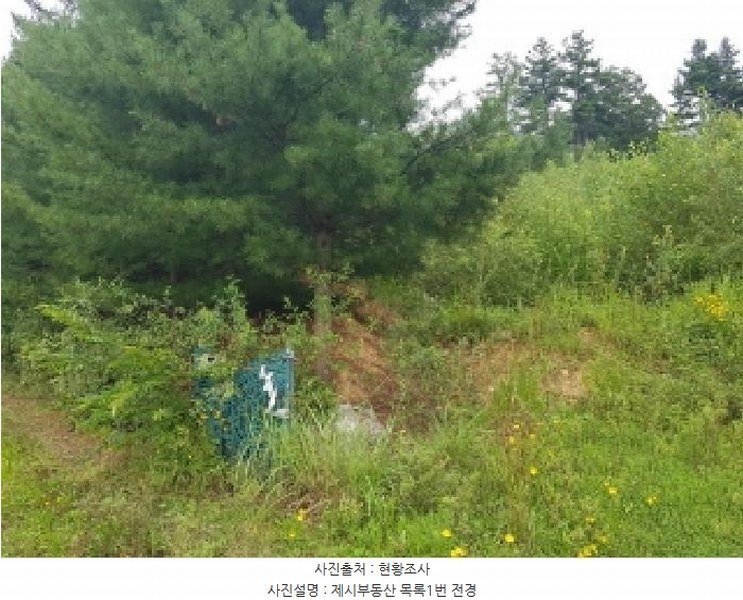 2025타경1661 강원특별자치도 홍천군 남면 양덕원리 산15-1 근린시설 경매 이미지