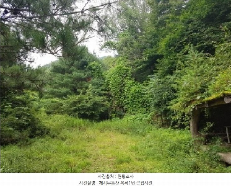 2025타경1661 강원특별자치도 홍천군 남면 양덕원리 산15-1 근린시설 경매 이미지