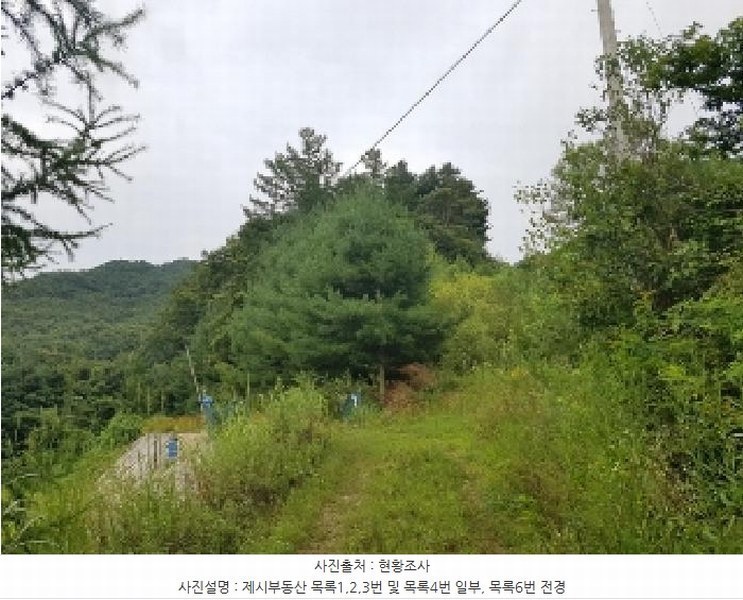 2025타경1661 강원특별자치도 홍천군 남면 양덕원리 산15-1 근린시설 경매 이미지