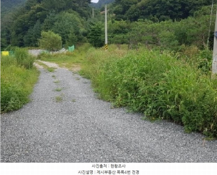 2025타경1661 강원특별자치도 홍천군 남면 양덕원리 산15-1 근린시설 경매 이미지