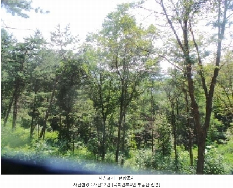 2025타경50557 강원특별자치도 춘천시 사북면 송암리 263 농지 경매 이미지