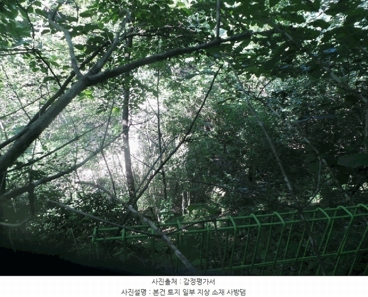 2025타경50816 강원특별자치도 화천군 하남면 서오지리 산40 임야 경매 이미지