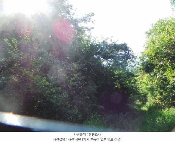 2025타경50816 강원특별자치도 화천군 하남면 서오지리 산40 임야 경매 이미지