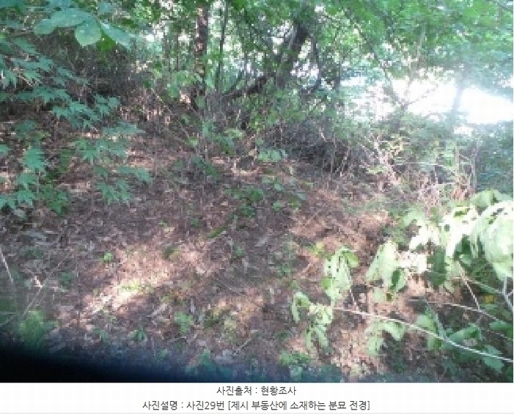 2025타경50816 강원특별자치도 화천군 하남면 서오지리 산40 임야 경매 이미지