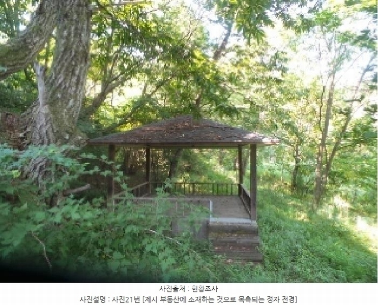 2025타경50816 강원특별자치도 화천군 하남면 서오지리 산40 임야 경매 이미지