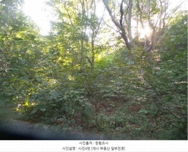 2025타경50816 강원특별자치도 화천군 하남면 서오지리 산40 임야 경매 이미지