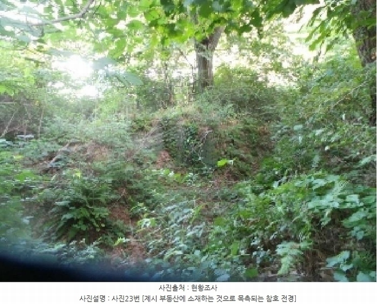 2025타경50816 강원특별자치도 화천군 하남면 서오지리 산40 임야 경매 이미지
