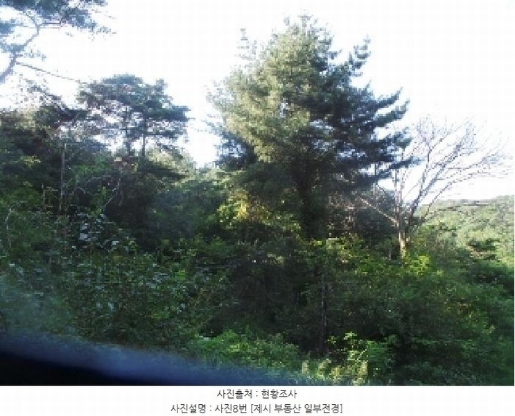 2025타경50816 강원특별자치도 화천군 하남면 서오지리 산40 임야 경매 이미지