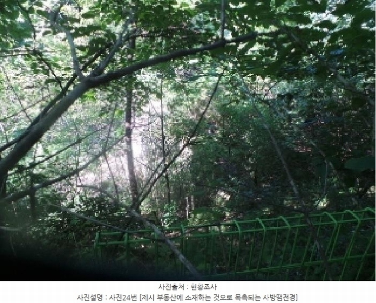2025타경50816 강원특별자치도 화천군 하남면 서오지리 산40 임야 경매 이미지