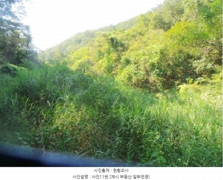 2025타경50816 강원특별자치도 화천군 하남면 서오지리 산40 임야 경매 이미지
