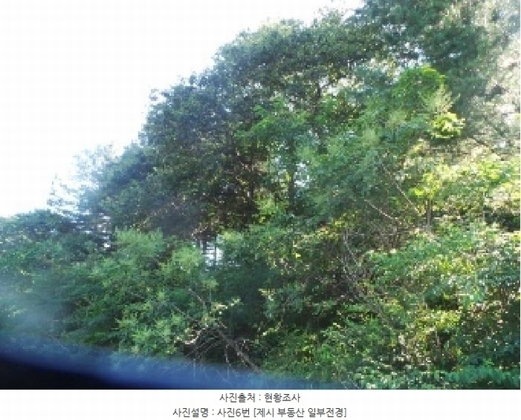 2025타경50816 강원특별자치도 화천군 하남면 서오지리 산40 임야 경매 이미지