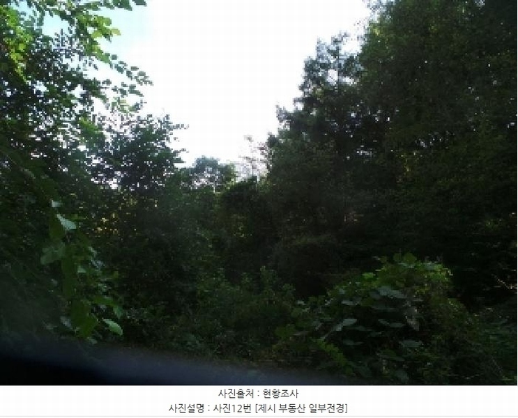 2025타경50816 강원특별자치도 화천군 하남면 서오지리 산40 임야 경매 이미지
