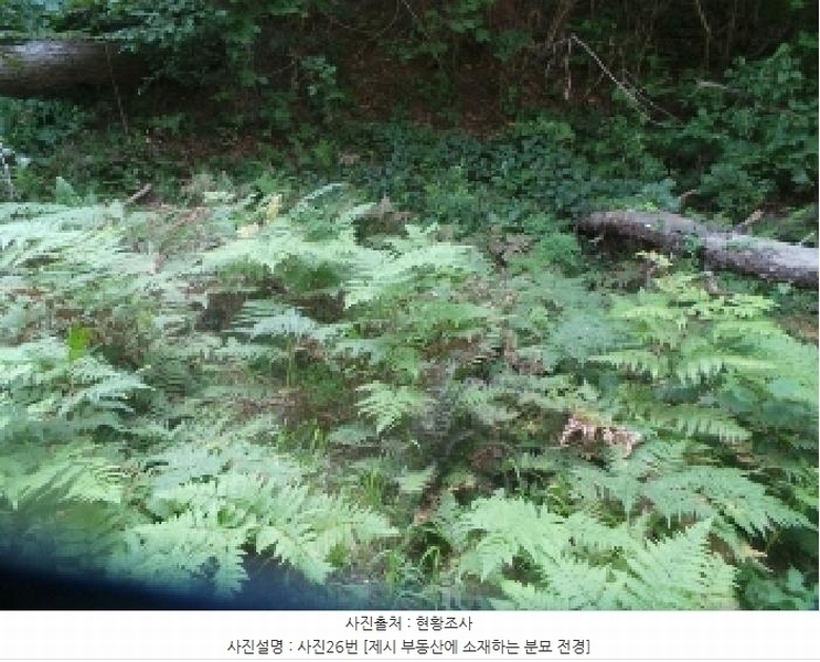 2025타경50816 강원특별자치도 화천군 하남면 서오지리 산40 임야 경매 이미지