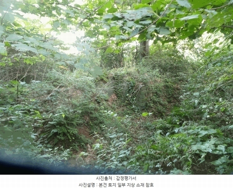 2025타경50816 강원특별자치도 화천군 하남면 서오지리 산40 임야 경매 이미지