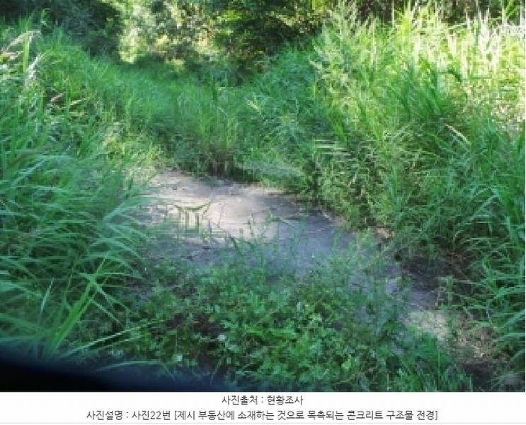 2025타경50816 강원특별자치도 화천군 하남면 서오지리 산40 임야 경매 이미지