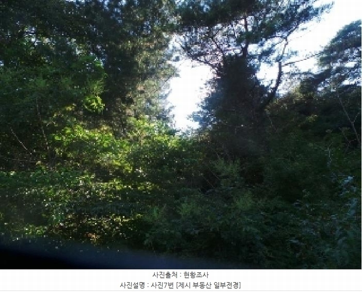 2025타경50816 강원특별자치도 화천군 하남면 서오지리 산40 임야 경매 이미지