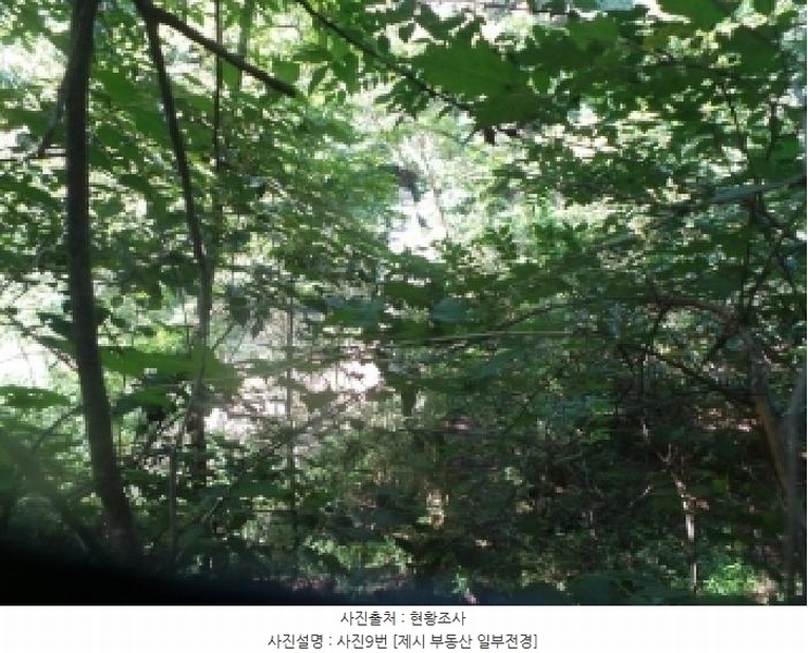 2025타경50816 강원특별자치도 화천군 하남면 서오지리 산40 임야 경매 이미지