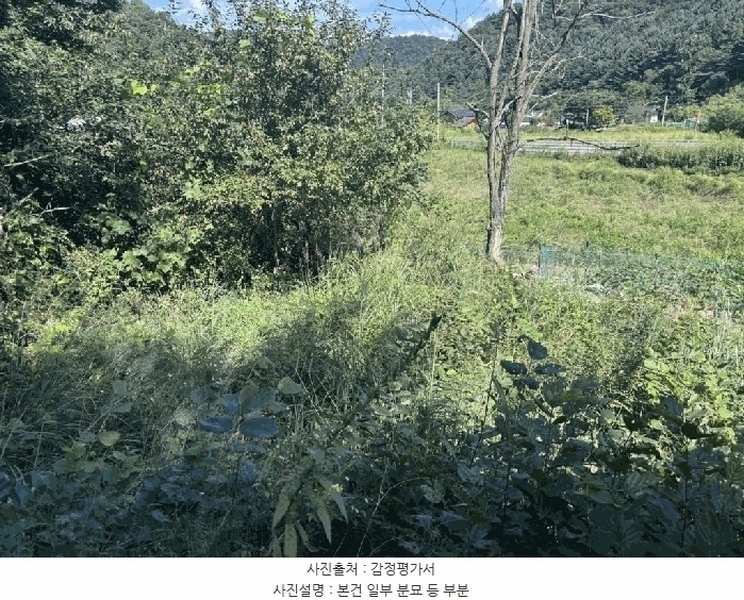 2025타경50816 강원특별자치도 화천군 하남면 서오지리 산40 임야 경매 이미지