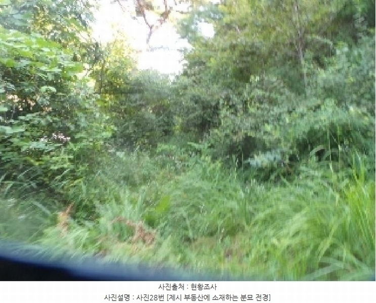 2025타경50816 강원특별자치도 화천군 하남면 서오지리 산40 임야 경매 이미지