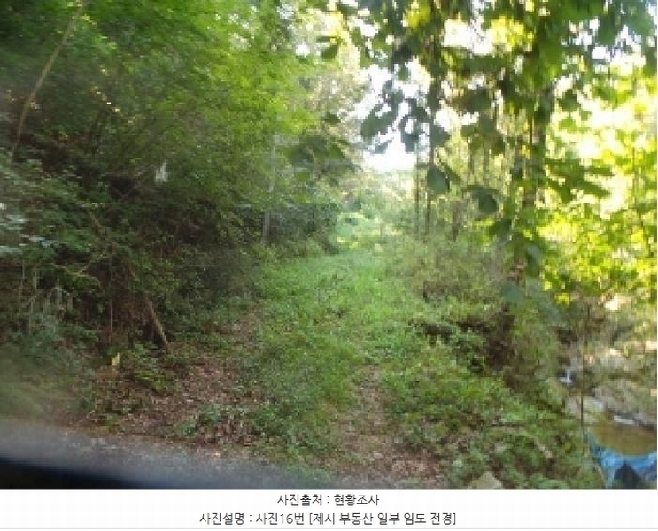 2025타경50816 강원특별자치도 화천군 하남면 서오지리 산40 임야 경매 이미지