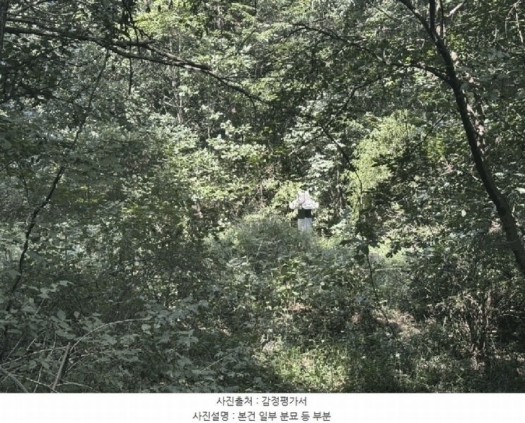 2025타경50816 강원특별자치도 화천군 하남면 서오지리 산40 임야 경매 이미지
