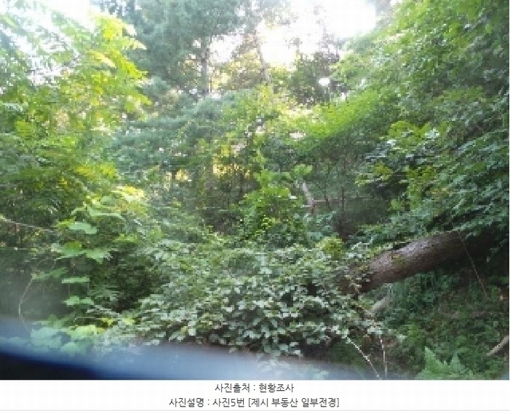 2025타경50816 강원특별자치도 화천군 하남면 서오지리 산40 임야 경매 이미지
