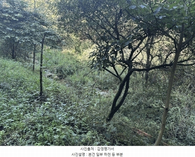 2025타경50816 강원특별자치도 화천군 하남면 서오지리 산40 임야 경매 이미지