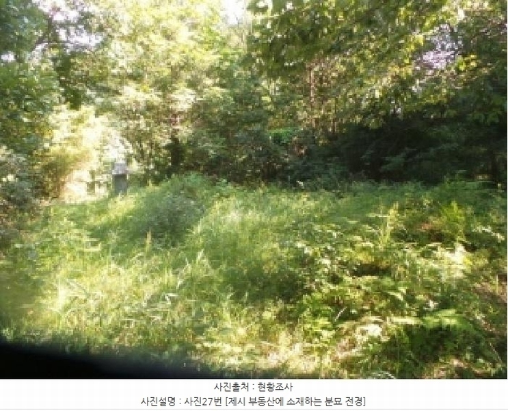 2025타경50816 강원특별자치도 화천군 하남면 서오지리 산40 임야 경매 이미지