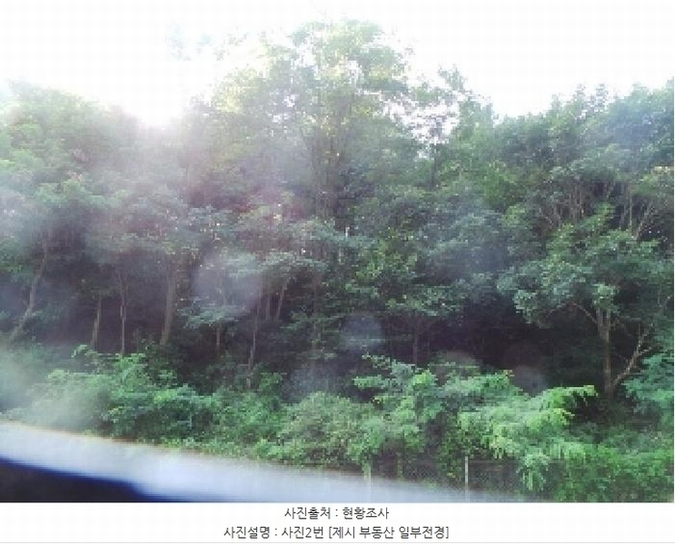 2025타경50816 강원특별자치도 화천군 하남면 서오지리 산40 임야 경매 이미지
