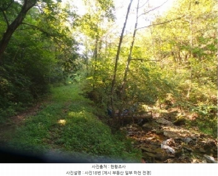 2025타경50816 강원특별자치도 화천군 하남면 서오지리 산40 임야 경매 이미지