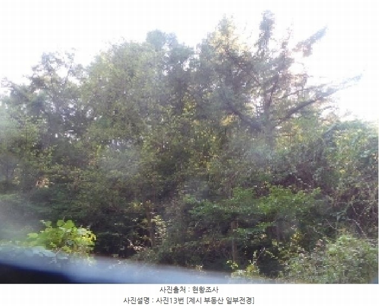 2025타경50816 강원특별자치도 화천군 하남면 서오지리 산40 임야 경매 이미지