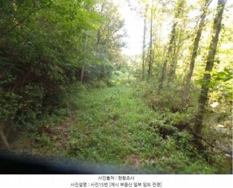 2025타경50816 강원특별자치도 화천군 하남면 서오지리 산40 임야 경매 이미지