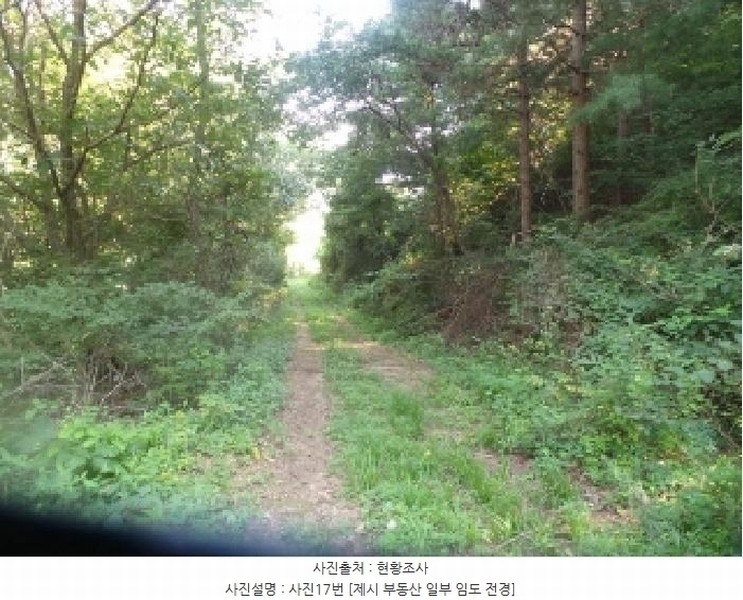 2025타경50816 강원특별자치도 화천군 하남면 서오지리 산40 임야 경매 이미지